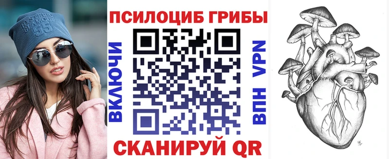 Купить закладки  Керчь  Псилоцибиновые грибы Cubensis 